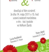 Svadobné oznámenia vzor SVA-141